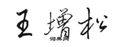 骆恒光王增松行书个性签名怎么写