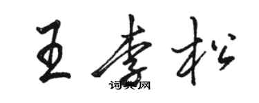 骆恒光王李松行书个性签名怎么写