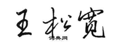 骆恒光王松宽行书个性签名怎么写