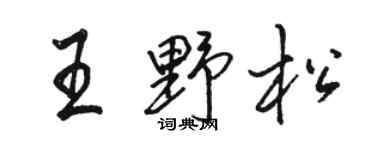 骆恒光王野松行书个性签名怎么写