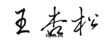 骆恒光王杏松行书个性签名怎么写