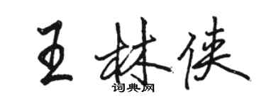 骆恒光王林侠行书个性签名怎么写