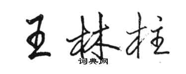 骆恒光王林柱行书个性签名怎么写