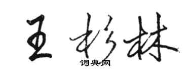 骆恒光王杉林行书个性签名怎么写