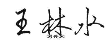 骆恒光王林水行书个性签名怎么写