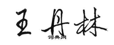 骆恒光王丹林行书个性签名怎么写