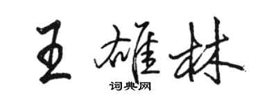 骆恒光王雄林行书个性签名怎么写