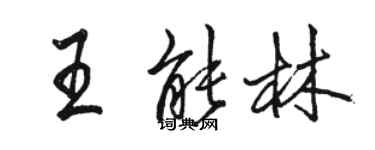 骆恒光王能林行书个性签名怎么写