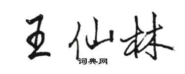 骆恒光王仙林行书个性签名怎么写