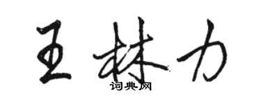 骆恒光王林力行书个性签名怎么写