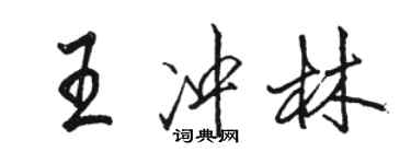 骆恒光王冲林行书个性签名怎么写