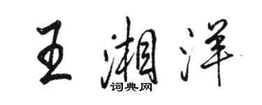 骆恒光王湘洋行书个性签名怎么写