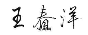 骆恒光王春洋行书个性签名怎么写