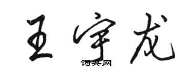骆恒光王宇龙行书个性签名怎么写