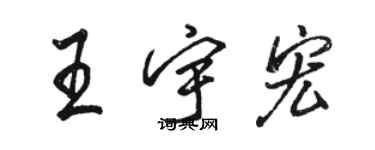 骆恒光王宇宏行书个性签名怎么写