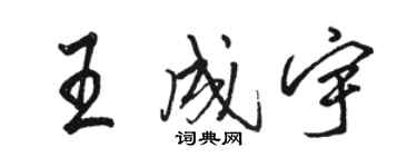 骆恒光王成宇行书个性签名怎么写
