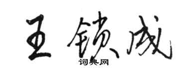 骆恒光王锁成行书个性签名怎么写