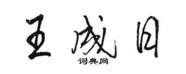 骆恒光王成日行书个性签名怎么写