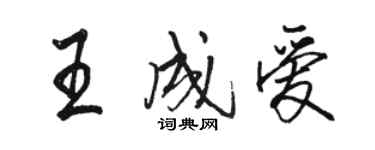 骆恒光王成爱行书个性签名怎么写
