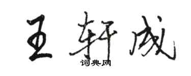 骆恒光王轩成行书个性签名怎么写