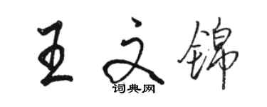 骆恒光王文锦行书个性签名怎么写