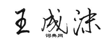 骆恒光王成沫行书个性签名怎么写