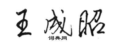 骆恒光王成昭行书个性签名怎么写