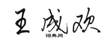骆恒光王成欢行书个性签名怎么写