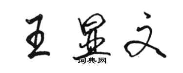 骆恒光王显文行书个性签名怎么写