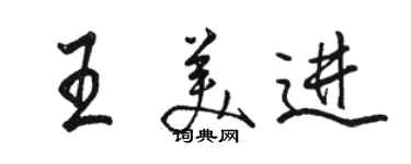 骆恒光王美进行书个性签名怎么写