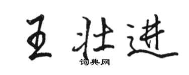 骆恒光王壮进行书个性签名怎么写