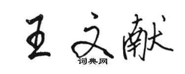骆恒光王文献行书个性签名怎么写