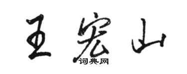 骆恒光王宏山行书个性签名怎么写