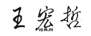 骆恒光王宏哲行书个性签名怎么写
