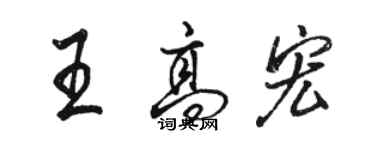 骆恒光王高宏行书个性签名怎么写