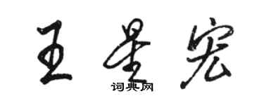 骆恒光王星宏行书个性签名怎么写