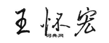 骆恒光王怀宏行书个性签名怎么写