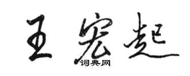 骆恒光王宏起行书个性签名怎么写