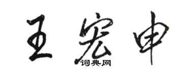 骆恒光王宏申行书个性签名怎么写