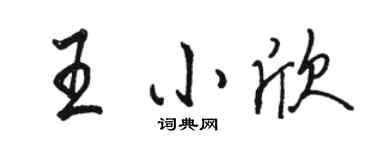 骆恒光王小欣行书个性签名怎么写