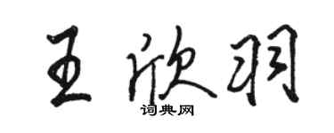 骆恒光王欣羽行书个性签名怎么写