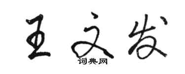 骆恒光王文发行书个性签名怎么写