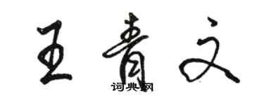 骆恒光王青文行书个性签名怎么写