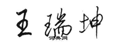 骆恒光王瑞坤行书个性签名怎么写