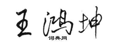 骆恒光王鸿坤行书个性签名怎么写
