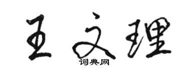 骆恒光王文理行书个性签名怎么写