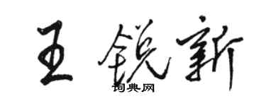 骆恒光王锐新行书个性签名怎么写