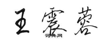 骆恒光王震蓉行书个性签名怎么写