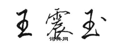 骆恒光王震玉行书个性签名怎么写