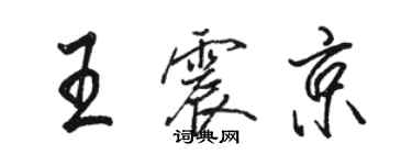 骆恒光王震京行书个性签名怎么写